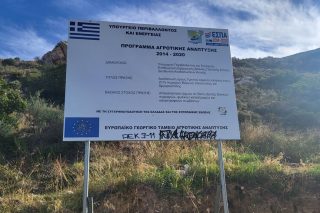 anadasosi espa